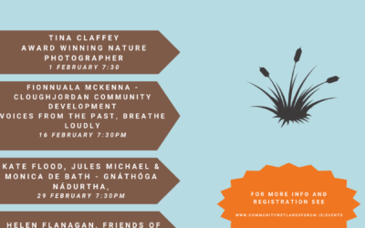Launch of new webinar series “Creativity for the Wetlands”