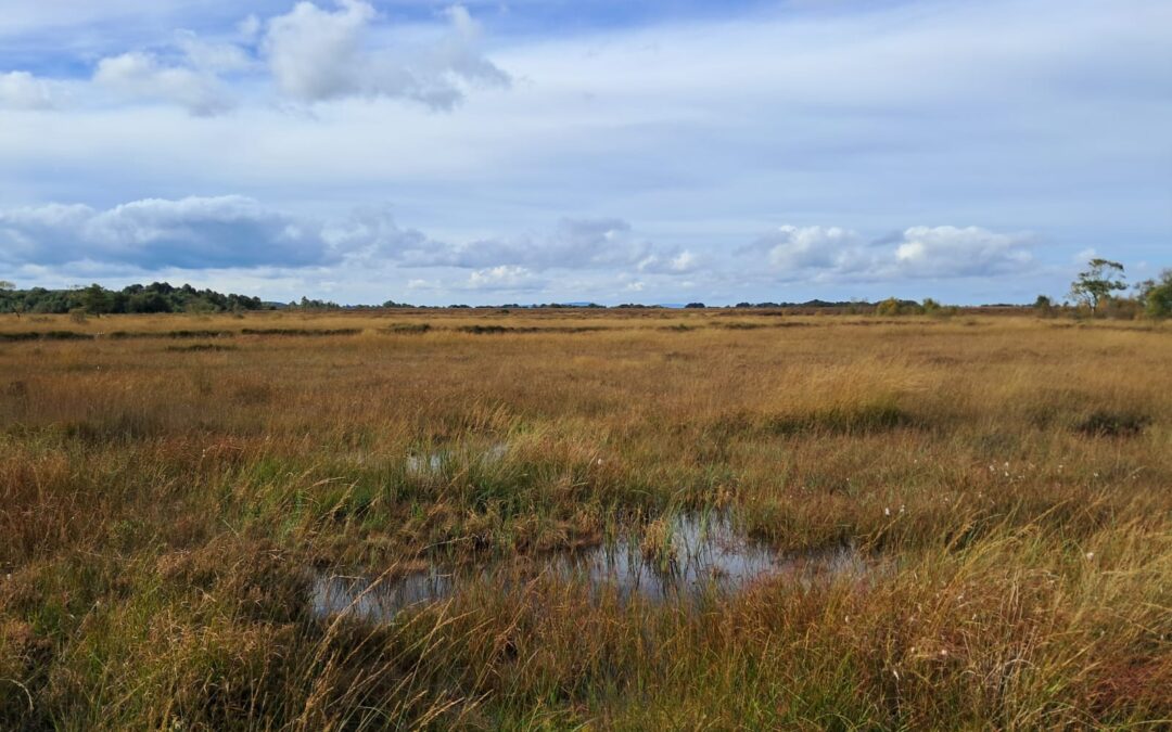 The Peatlands and Natura Community Engagement Scheme (PNCES)