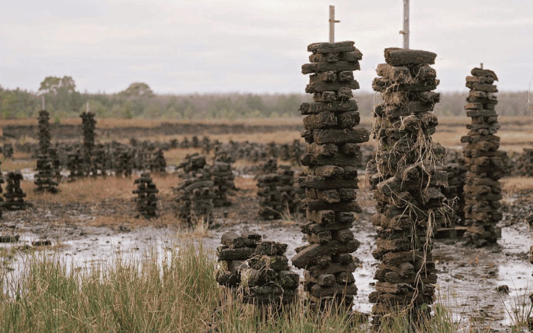 Guide for Wetland Communities Engaging in Creative Projects