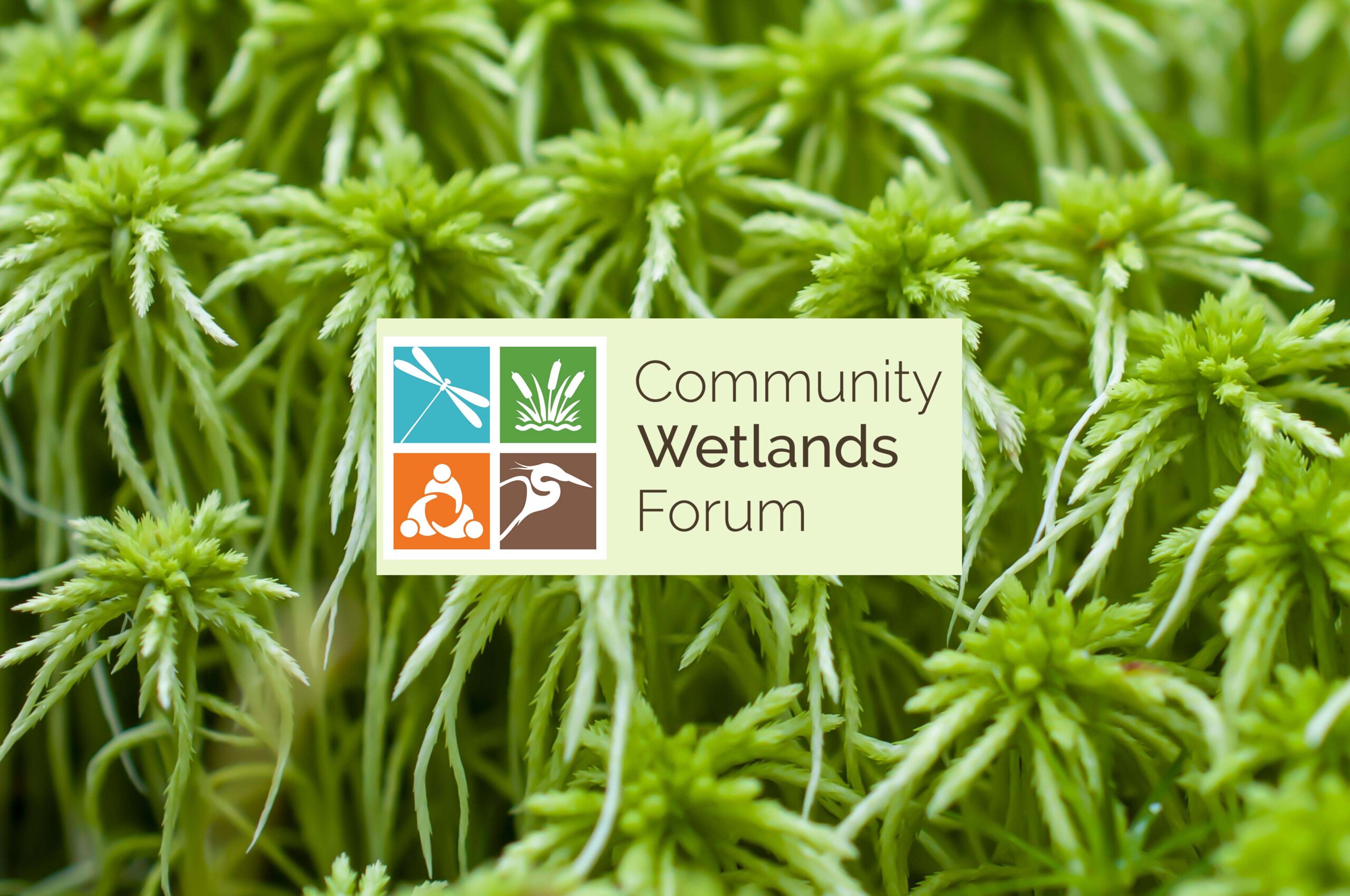 Community Wetlands Forum Receives Charity Status